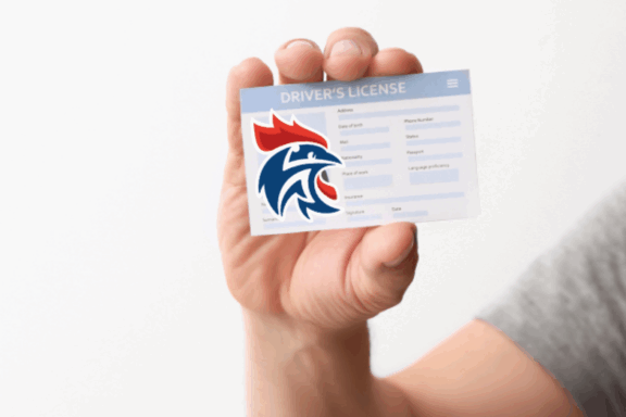 Licence 2025/2026